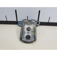 Петля двери Nissan Murano (Z50) (2004 - 2008) 824204P00A