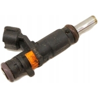 PB042 Dacia Duster II 1.6i Wtryskiwacz 166008992R