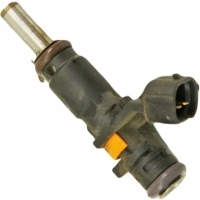 RJ154 Dacia Duster II 1.6i Wtryskiwacz 166008992R