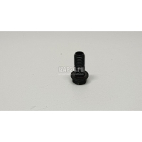 Болт полый Renault Pathfinder (R51) (2005 - 2014) 151882356R