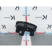 Защита двигателя Kia Soul PS 2017 29110B2200