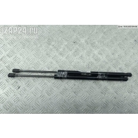 Амортизатор крышки (двери) багажника Renault Scenic II (2003-2009) 2006 7098vj