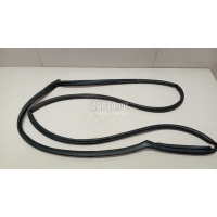 Уплотнитель двери Hyundai-Kia RIO (2005 - 2011) 831401G200