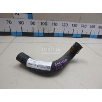 Патрубок радиатора Suzuki Liana (2001 - 2007) 1785454G00