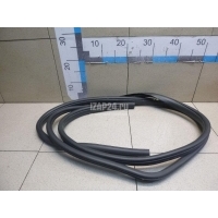 Уплотнитель двери Nissan Note (E11) (2006 - 2013) 769229U10B