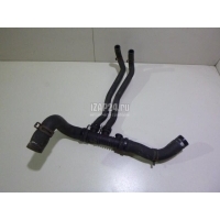 Патрубок радиатора Renault Scenic II (2003 - 2009) 8200233972