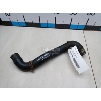 Патрубок радиатора Renault Scenic II (2003 - 2009) 8200233966