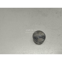 Толкатель клапана гидравлический VAG Passat [B6] (2005 - 2010) 038109309C