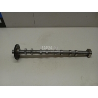 Распредвал выпускной VAG Passat [B6] (2005 - 2010) 06H109022BA