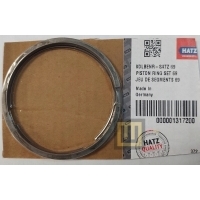 Кольца hatz 1b 20 гр 1.75 - 01317200