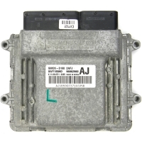 96862960AJ KOMPUTER SILNIKA CHEVROLET EPICA 2.0