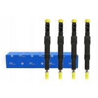 Delphi ejdr00301z форсунки