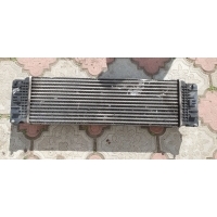 Интеркулер Mercedes Sprinter W906 2011 A9065010201,2E05010201
