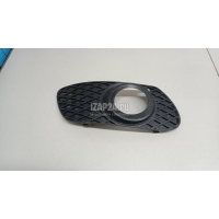 Решетка на противотуманную фару Mercedes Benz W164 M-Klasse (ML) (2005 - 2011) 1648851023