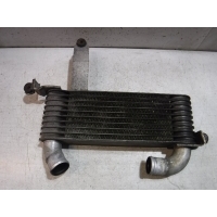 Интеркулер Hyundai Matrix I (2001—2005) 2002 2827027620