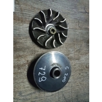 Rotax сроки