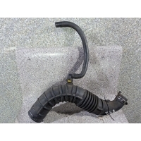 Патрубок (трубопровод, шланг) ВОЗДУШНАЯ ГОФРА. Renault Kangoo 2004 8200500384