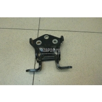 Петля двери багажника нижняя Mitsubishi Pajero/Montero III (V6, V7) (2000 - 2006) MR436611