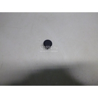 Крепеж Renault Laguna II (2001 - 2008) 8200070939