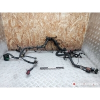 Проводка двигателя Peugeot 406 1997 598138,9641687980,9649206180