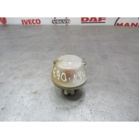 Указатель поворота боковой MAN MAN TGA, TGS, TGX 81253206118