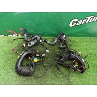 Проводка дверей Mercedes-Benz E W212 2013 A2124401541