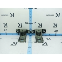 Петля двери Hyundai Palisade LX2 2019 793202V000