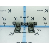 Петля двери Hyundai Palisade LX2 2019 793102V000