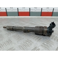 Форсунка дизельная электрическая Mercedes Citan (W415) (2012-2021) 2013 0445110485,A6070700687