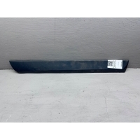 молдинг двери задней правой Seat Exeo 2008 8E0853970E