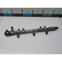 Рейка топливная (рампа) Hyundai-Kia Carnival (2005 - 2014) 314002F000