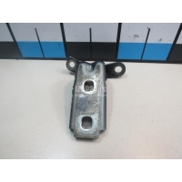 Петля двери передней GM STS (2005 - 2011) 13501711