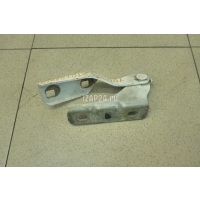Петля капота правая Ford Transit (2006 - 2013) 1405813