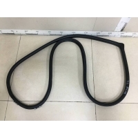 Уплотнитель проема двери задней левой Toyota Corolla E120 2001-2007 6233212120B0