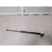 Амортизатор двери багажника Citroen C4 Aircross 2012-2017 1607549480
