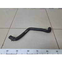 Патрубок радиатора Ford Focus 3 2011> 1846352