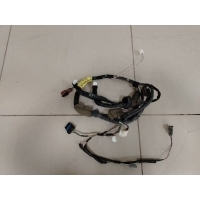 Проводка двери Nissan Tiida C11 2007-2014 24125EM02A