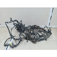 Электропроводка Citroen C4 Aircross 2012-2017 1607873680