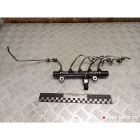 топливная рампа Citroen C4 2010 9658227880,55PP0603,9681649580