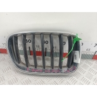 Решетка радиатора BMW X3 (F25) (2010-2017) 2012