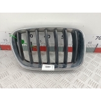 Решетка радиатора BMW X3 (F25) (2010-2017) 2012