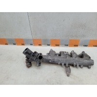Коллектор впускной Nissan Pathfinder R51 2005