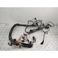 Проводка двигателя BMW 5 E39 (1995-2003) 1996 1433358, 1433368