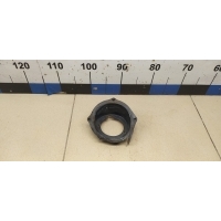 Ниша лючка бензобака RENAULT Duster 2012> 172403117R
