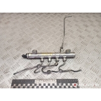 топливная рампа Opel Zafira 2 (B) 2007 0445214122,55209575,0281002903