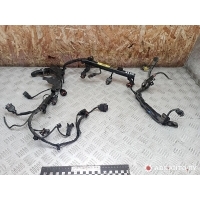 Проводка двигателя Kia Rio 2 2007 918501G520,367332A400,914101G020