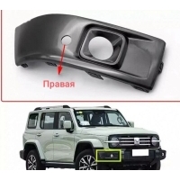 Накладка бампера Tank 300 2803436XKM01A