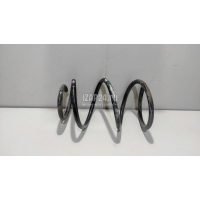 Пружина передняя Hyundai-Kia Starex H1/Grand Starex 2007 546304H000