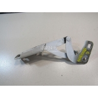 Петля капота левая Citroen-Peugeot Partner (M59) (2002 - 2012) 791280