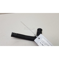 Шланг системы охлаждения VAG Allroad quattro (2006 - 2012) 06E121058F